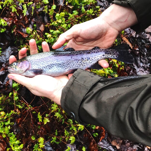 New Fishing Regulations in Utah: A Comprehensive Overview