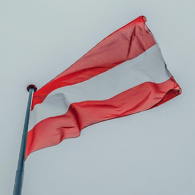 1. Top 10 Red Flags to Identify and Avoid Scams: In this post, you can discuss common signs of scams and provide examples to help readers identify potential scams.