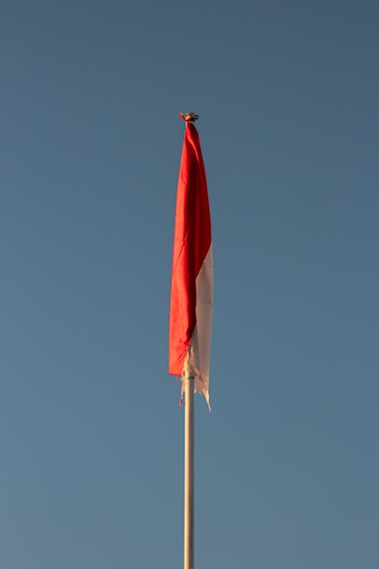 10 Red Flags to Identify and Avoid Email Scams