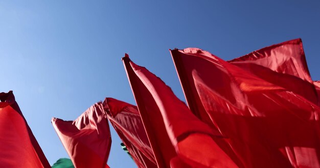 Top 10 Red Flags for Identifying Scams: Protect Yourself from Fraudsters