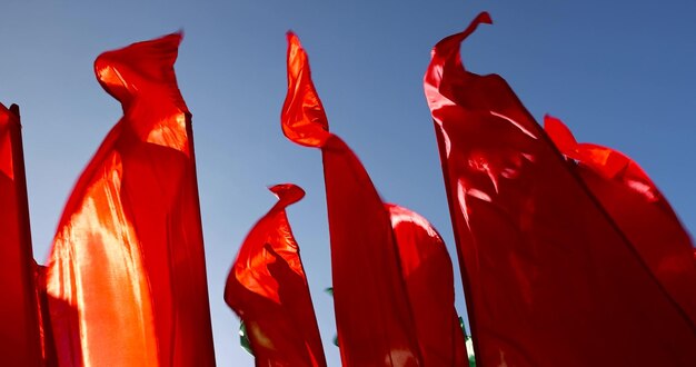 10 Red Flags to Identify and Avoid Online Scams: Protecting Yourself in the Digital Age