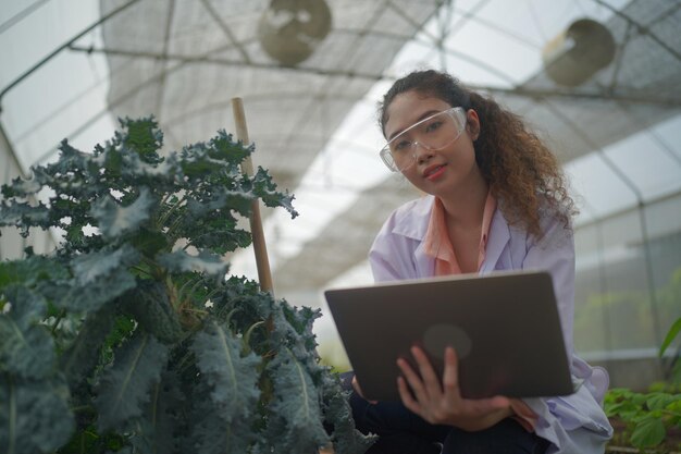 5 Groundbreaking Innovations in Horticultural Growing Media: A Must-Read for Greenhouse Owners and Farmers