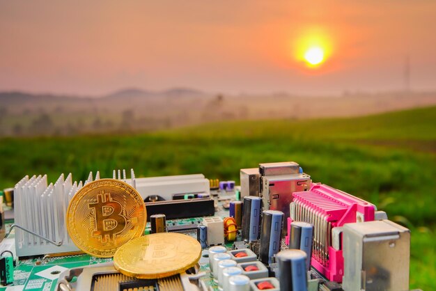 Bitcoin and the Environment: Separating Fact from Fiction