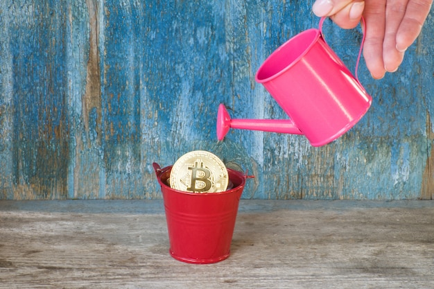 Dow Jones Futures: Bitcoin Surges Past $81,000 Amidst Trump Rally - A Game Changer for Crypto Investors?