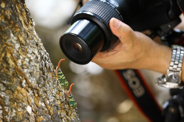 Mastering Trail Camera Placement: A Comprehensive Guide for Hunting Mature Bucks