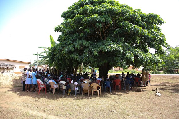 Peace Education in Cameroon: An Overview and Importance