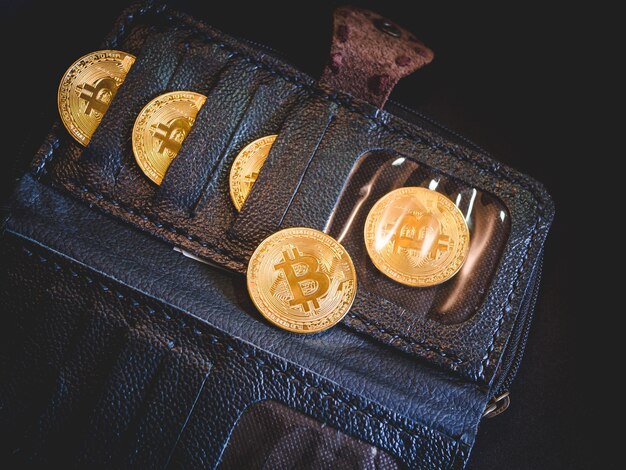 Top 10 Bitcoin Wallets in 2024: A Comprehensive Review and Comparison
