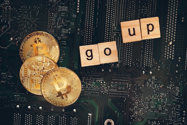 Top 7 Crypto Exchanges to Watch in November 2024: Your Ultimate Guide
