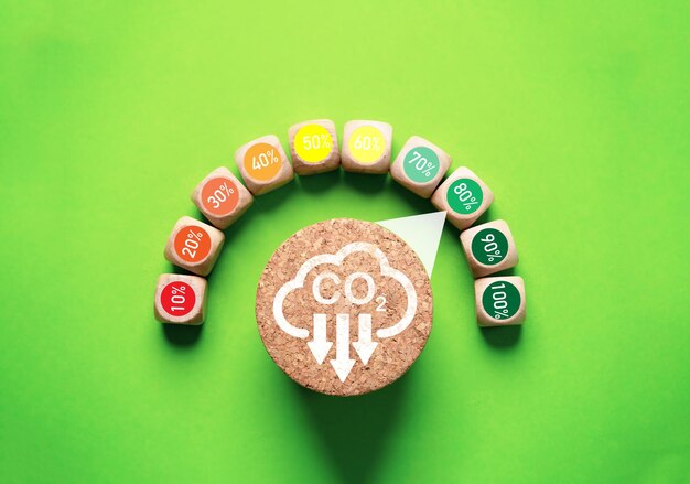 Understanding the Basics of Compliance Carbon Credits Markets: A Must-Read Guide