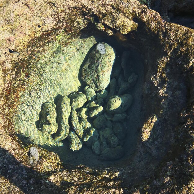 Understanding the Basics of Radio-Krypton Groundwater Dating: A Primer