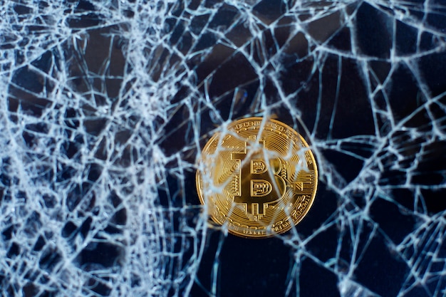 Unraveling the Bitcoin Enigma: A Review of 