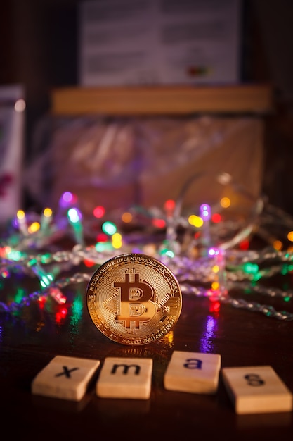 Unraveling the Bitcoin Enigma: A Review of 