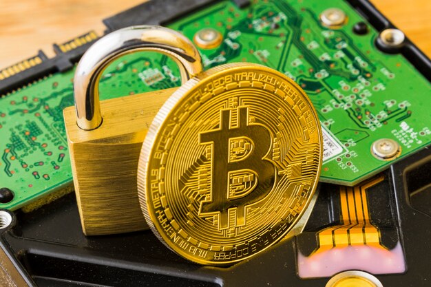 Unraveling the Bitcoin Enigma: A Review of 