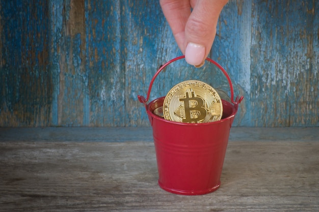 Unraveling the Bitcoin Enigma: A Review of 