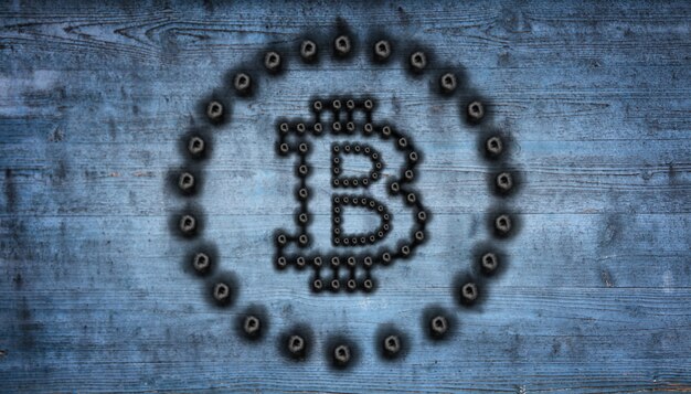Unraveling the Bitcoin Enigma: A Review of 